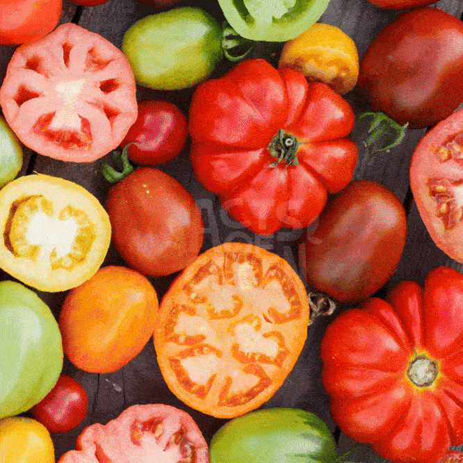alt visuel custom Tomatensaison_webslider_DE